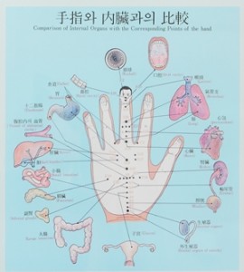 高麗手指鍼で過敏性腸症候群のツボの図